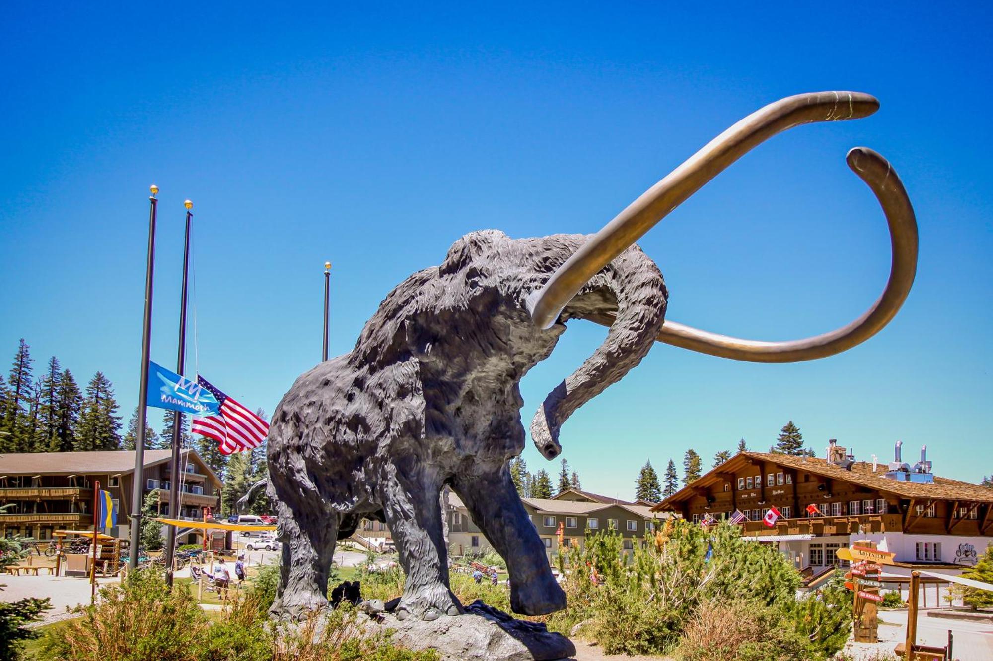 Sierra Manor Escape Villa Mammoth Lakes Ruang foto